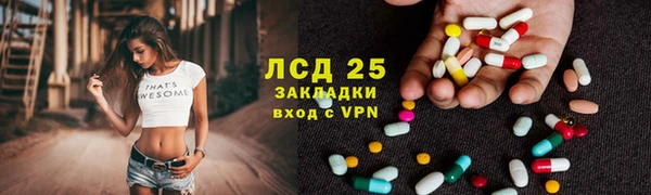 хмурый Абаза