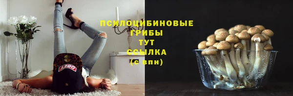 хмурый Абаза