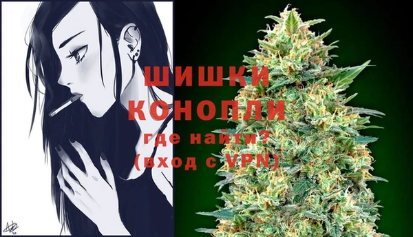 шишки Ростов