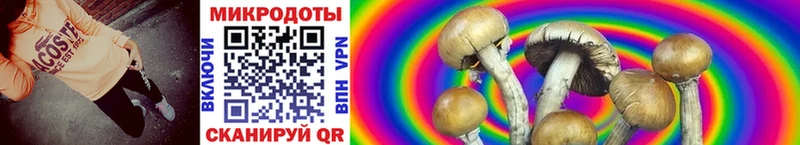 Галлюциногенные грибы мухоморы  Майский 